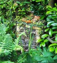 Bug house made with wood, bricks, fircones, logs and hollow stems arranged in layers. The waterproof roof is a shelf for small terracotta pots and the whole thing hides between ferns, lily-of-the-valley and laurel hedge