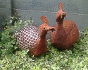 Two rusty metal guinea-fowl standing in sunlit ivy and embraced by tendrils of toadflax. They face towards the right of the picture with a faded green fence behind them.