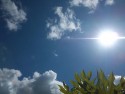 a view of deep blue sky with bright white sun near the right hand edge, pointing Fatsia leaf-fingers bottom right, cloudy bottom edge and a few wisps of white cloud along the top