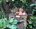 between the trunks of two laurels sits a bug hotel. Made of brick, wood, fir cones, logs and various hollow canes the bug hotel has old broken terracotta pots on top and a large leaved hosta infront.