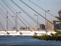 Blue river foreground, white Bridge midground, Skytree towering over skyscrapers in the background. Clear blue sky, black suspension cables diagonally across the image and a glimpse of a leafy cherry tree in the foreground.