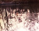 brown - almost black - and white image of winter trees reflected in water. A solitary duck creates ripples that distort the reflections into interesting patterns