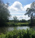 looking across the river to the natural watermeadows tees frame the image and the blue sky is heavy with bright white-grey cloud.