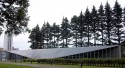 a tall, dark row of pine trees stand guard behind 21_21 designsight. A low concrete building whose roof dips to the ground looking rather like Frida Kahlo's monobrow over eyes that are the glass walls/windows. A low green hedge guards the front.