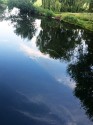 looking down into the blue sky reflection on the river there are also trees and clouds, plus a glimpse of the green riverbank and willow trees.