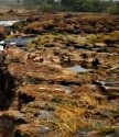 brown-green image of the dry Zambezi riverbed, with small pools and withered grasses.