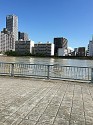 Tokyo River Sumida, with a background of mostly tall buildings under a clear blue sky. The foreground shows a section of walkway with small square grey tiles and the railings in pale blue