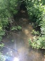 sun reflection on shallow water, looking into a narrow stream after the rain when the banks are green and the water still murky.